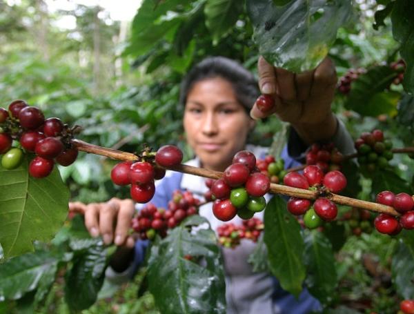 Paisaje del municipio de Ortega, Tolima